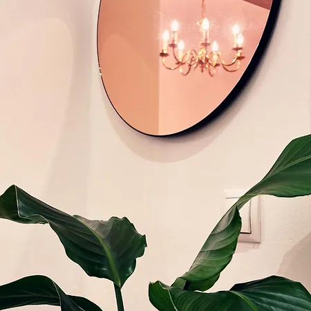 Apartmán Altbaucharme Direkt Im Zentrum *