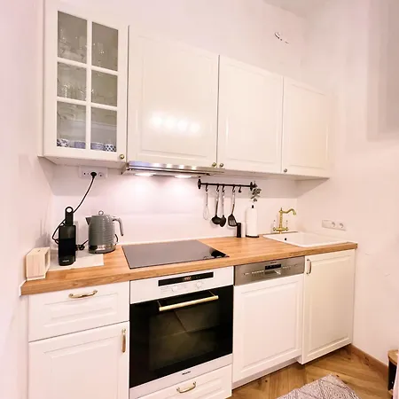 Altbaucharme Direkt Im Zentrum * גראץ