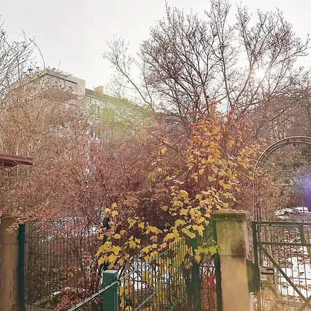 Apartamento Altbaucharme Direkt Im Zentrum *