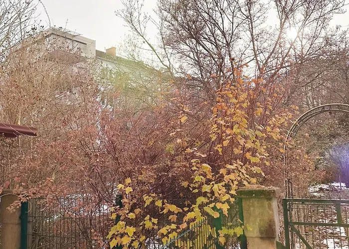 Apartamento Altbaucharme Direkt Im Zentrum *